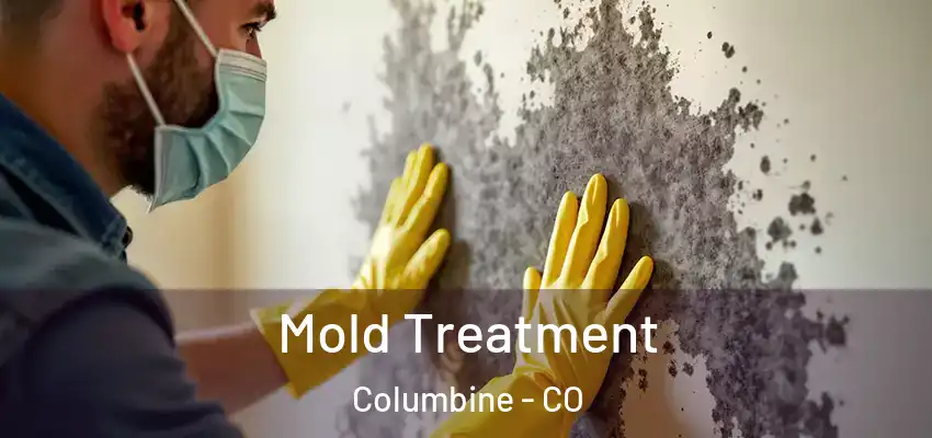  Mold Treatment Columbine - CO