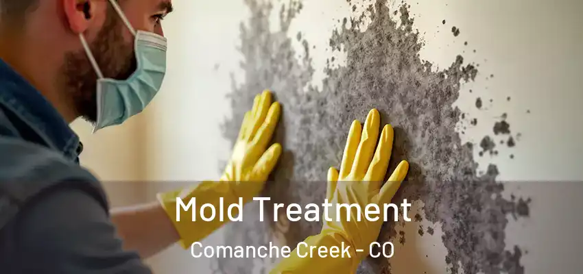  Mold Treatment Comanche Creek - CO