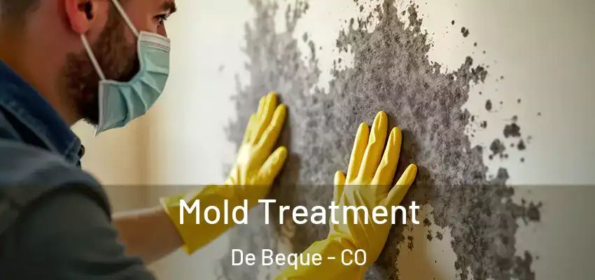 Mold Treatment De Beque - CO