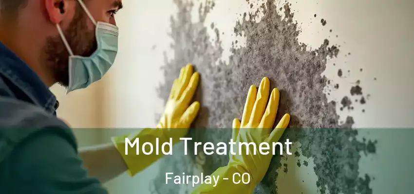 Mold Treatment Fairplay - CO