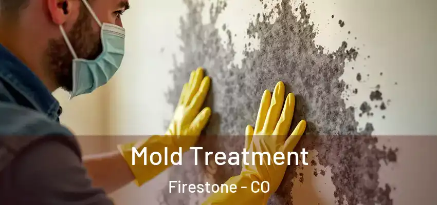 Mold Treatment Firestone - CO