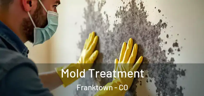 Mold Treatment Franktown - CO