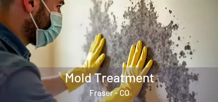  Mold Treatment Fraser - CO