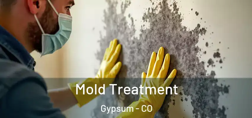  Mold Treatment Gypsum - CO