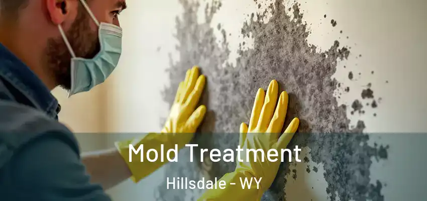  Mold Treatment Hillsdale - WY
