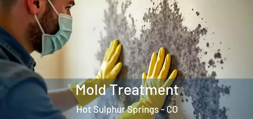  Mold Treatment Hot Sulphur Springs - CO