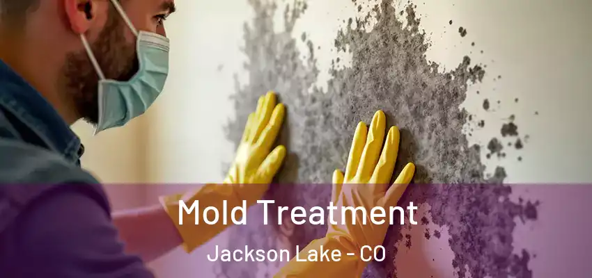  Mold Treatment Jackson Lake - CO