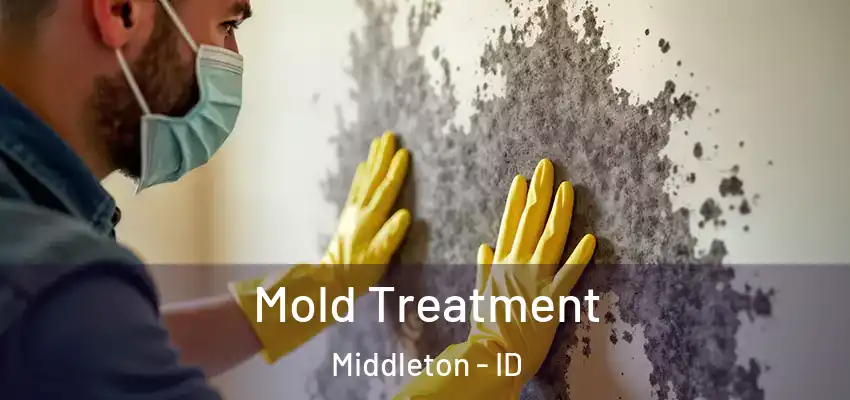  Mold Treatment Middleton - ID