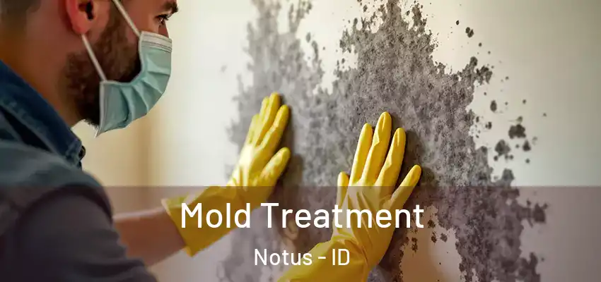  Mold Treatment Notus - ID