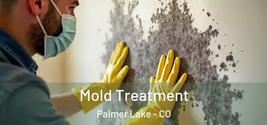 Mold Treatment Palmer Lake - CO