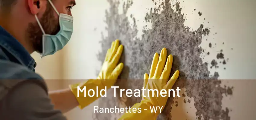  Mold Treatment Ranchettes - WY
