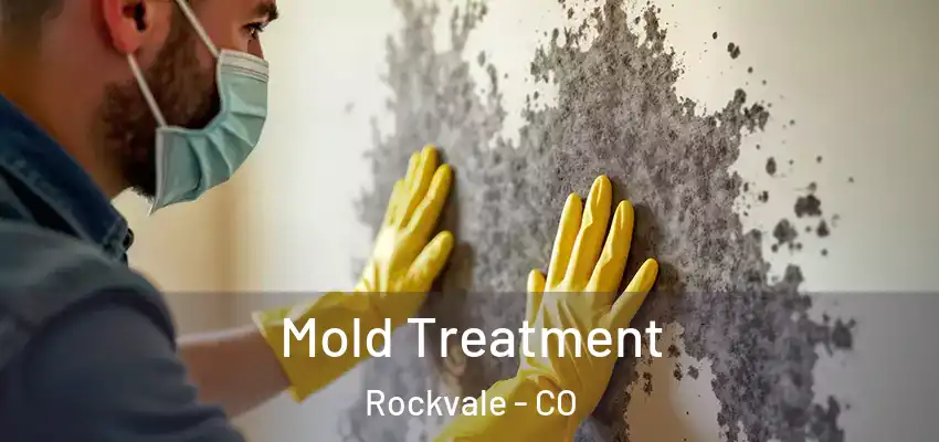  Mold Treatment Rockvale - CO