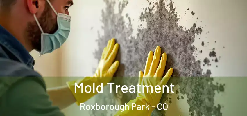 Mold Treatment Roxborough Park - CO