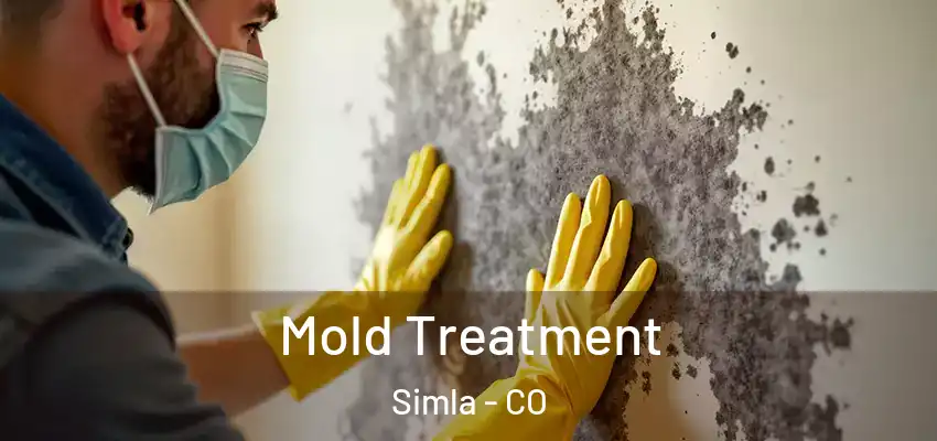 Mold Treatment Simla - CO