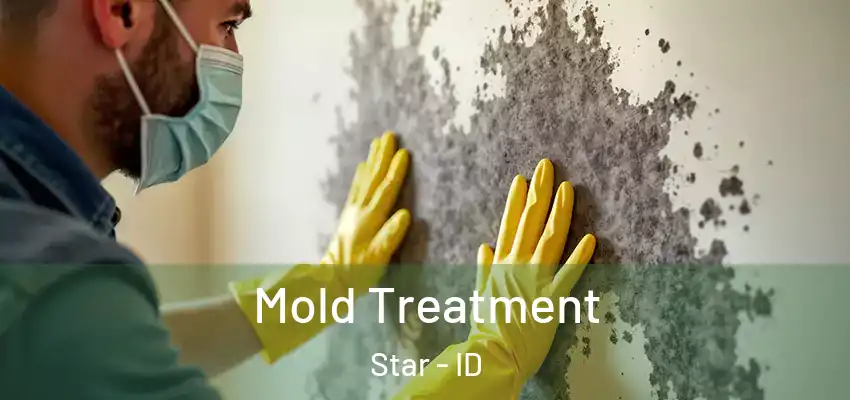  Mold Treatment Star - ID