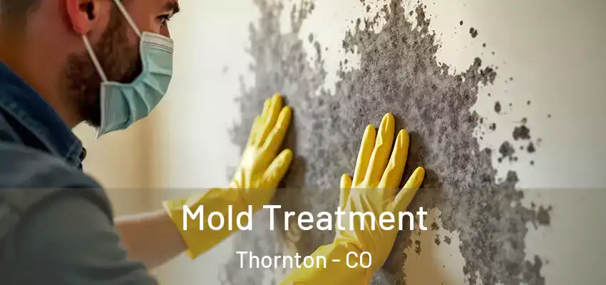 Mold Treatment Thornton - CO