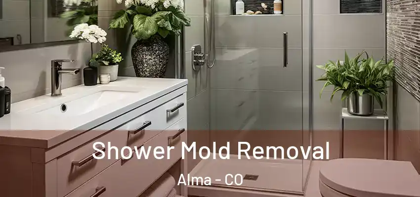  Shower Mold Removal Alma - CO