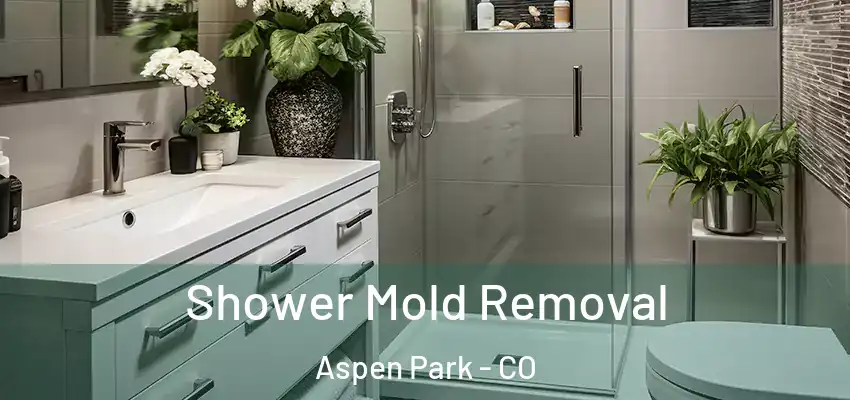  Shower Mold Removal Aspen Park - CO