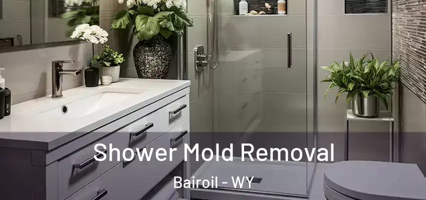  Shower Mold Removal Bairoil - WY