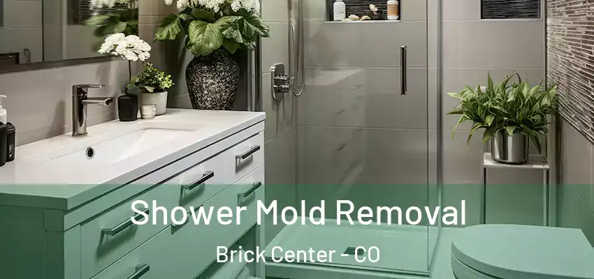  Shower Mold Removal Brick Center - CO
