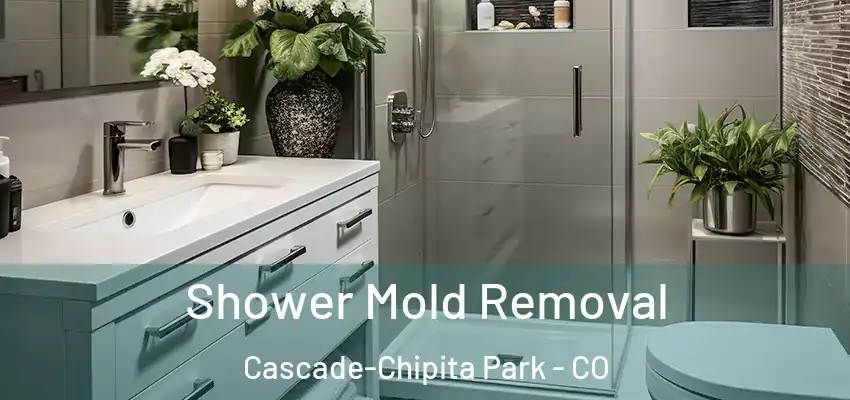  Shower Mold Removal Cascade-Chipita Park - CO