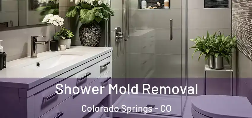  Shower Mold Removal Colorado Springs - CO