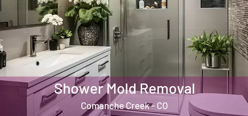  Shower Mold Removal Comanche Creek - CO