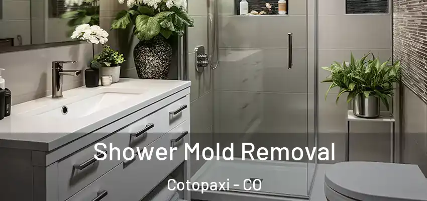  Shower Mold Removal Cotopaxi - CO
