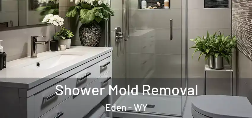 Shower Mold Removal Eden - WY