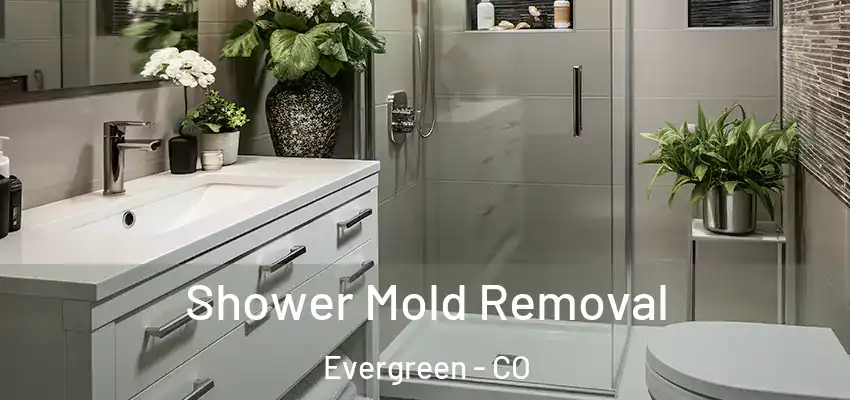  Shower Mold Removal Evergreen - CO