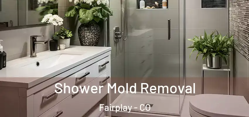  Shower Mold Removal Fairplay - CO