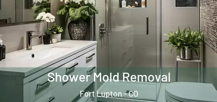  Shower Mold Removal Fort Lupton - CO