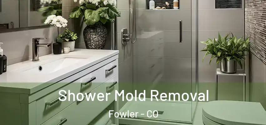  Shower Mold Removal Fowler - CO