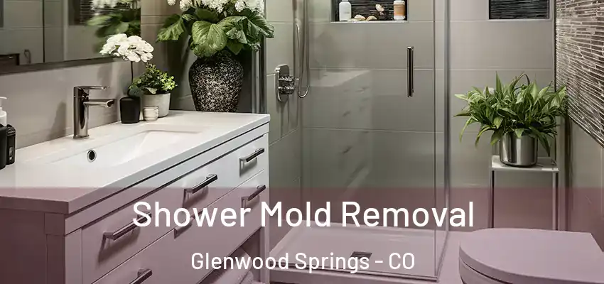  Shower Mold Removal Glenwood Springs - CO