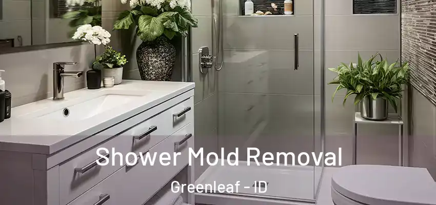  Shower Mold Removal Greenleaf - ID