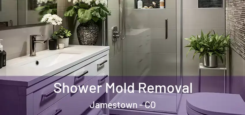 Shower Mold Removal Jamestown - CO