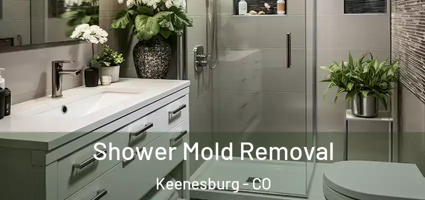 Shower Mold Removal Keenesburg - CO