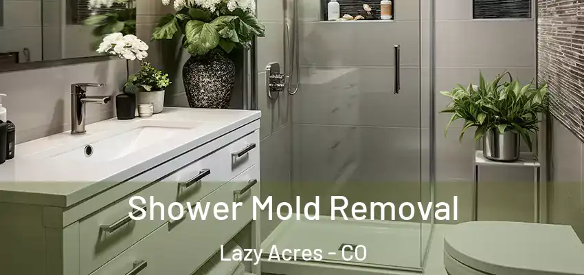 Shower Mold Removal Lazy Acres - CO