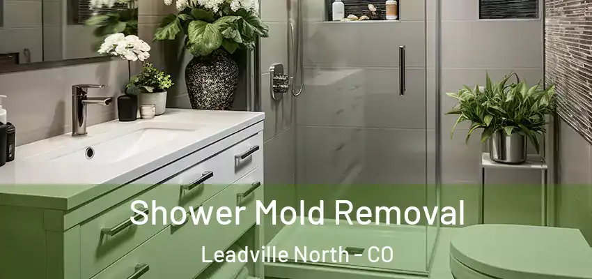 Shower Mold Removal Leadville North - CO