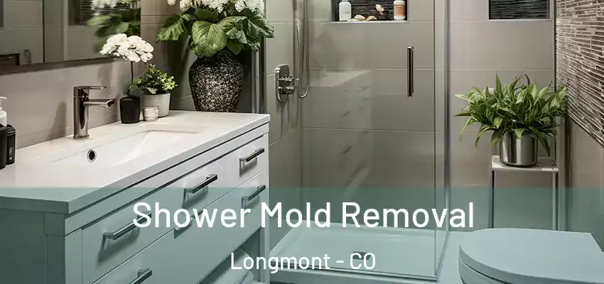 Shower Mold Removal Longmont - CO