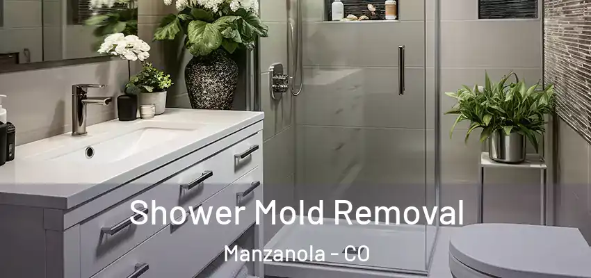  Shower Mold Removal Manzanola - CO