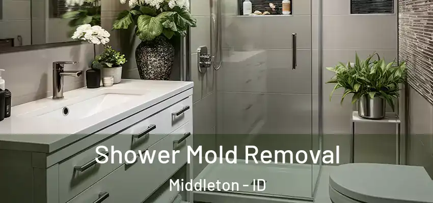  Shower Mold Removal Middleton - ID