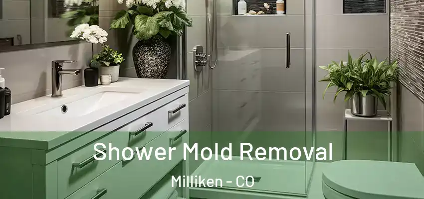  Shower Mold Removal Milliken - CO