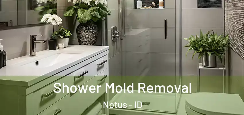  Shower Mold Removal Notus - ID