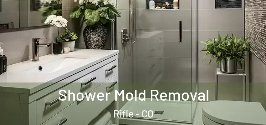 Shower Mold Removal Rifle - CO
