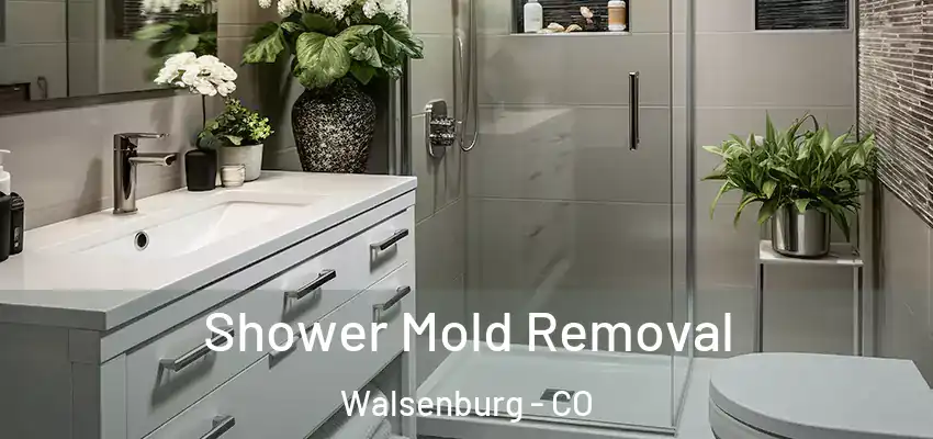 Shower Mold Removal Walsenburg - CO