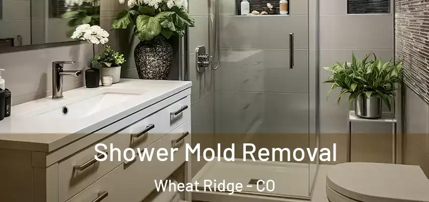 Shower Mold Removal Wheat Ridge - CO