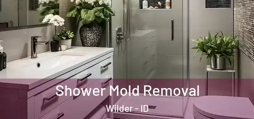  Shower Mold Removal Wilder - ID