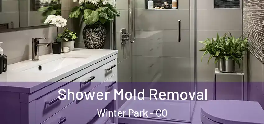 Shower Mold Removal Winter Park - CO
