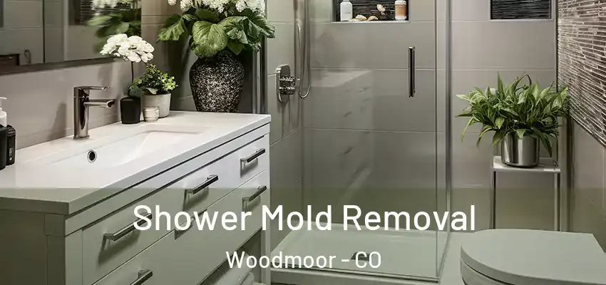  Shower Mold Removal Woodmoor - CO